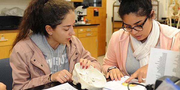 two girls looking at an open skull in classroom setting